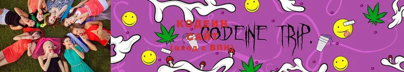 Codein Purple Drank  Новороссийск 